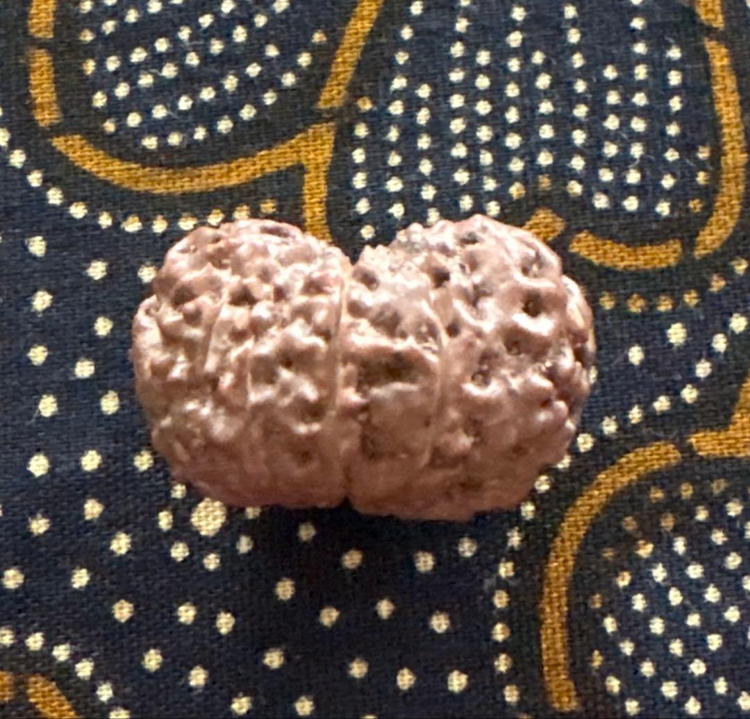 Kana　トップガウリシャンカール14ムキマーラー