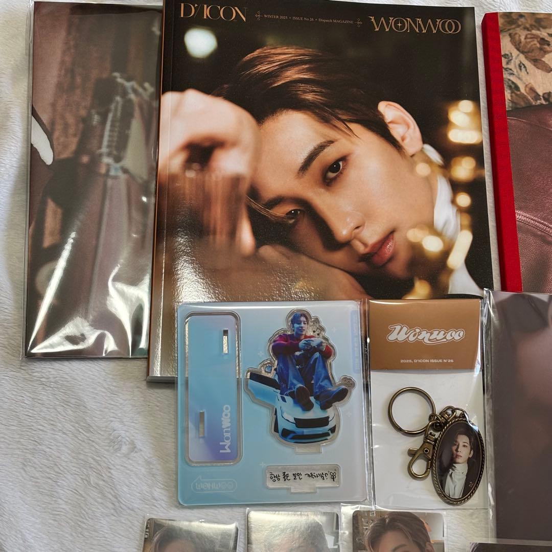 SEVENTEEN ウォヌ WONWOO トレカ グッズ まとめ売り