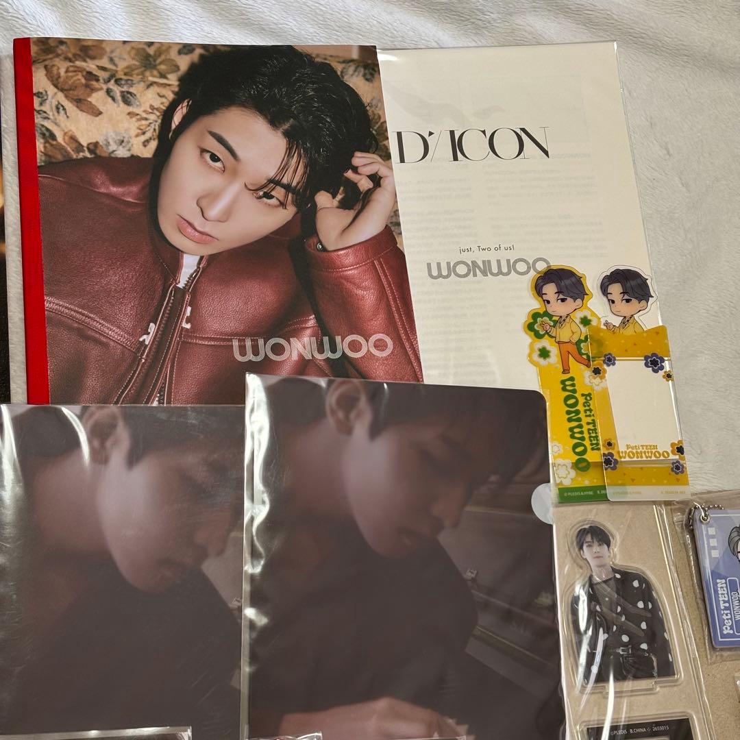 SEVENTEEN ウォヌ WONWOO トレカ グッズ まとめ売り