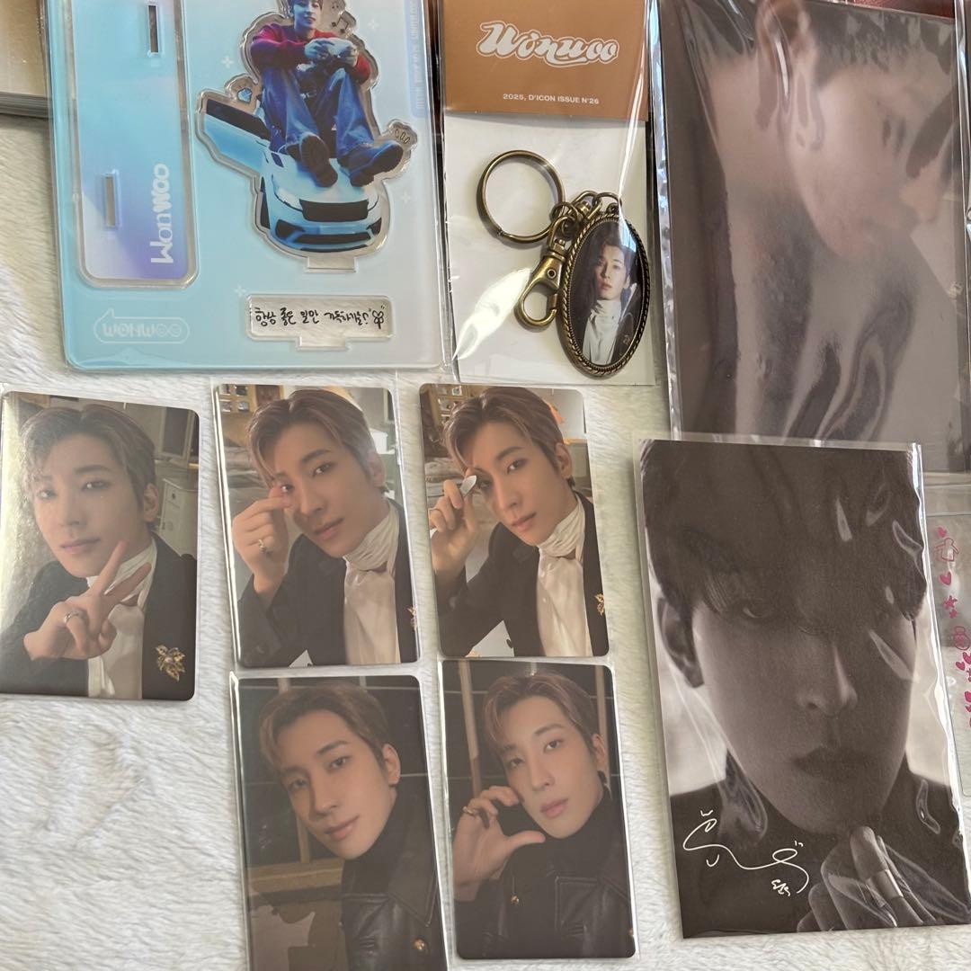 SEVENTEEN ウォヌ WONWOO トレカ グッズ まとめ売り
