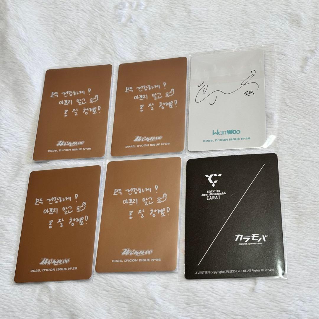 SEVENTEEN ウォヌ WONWOO トレカ グッズ まとめ売り