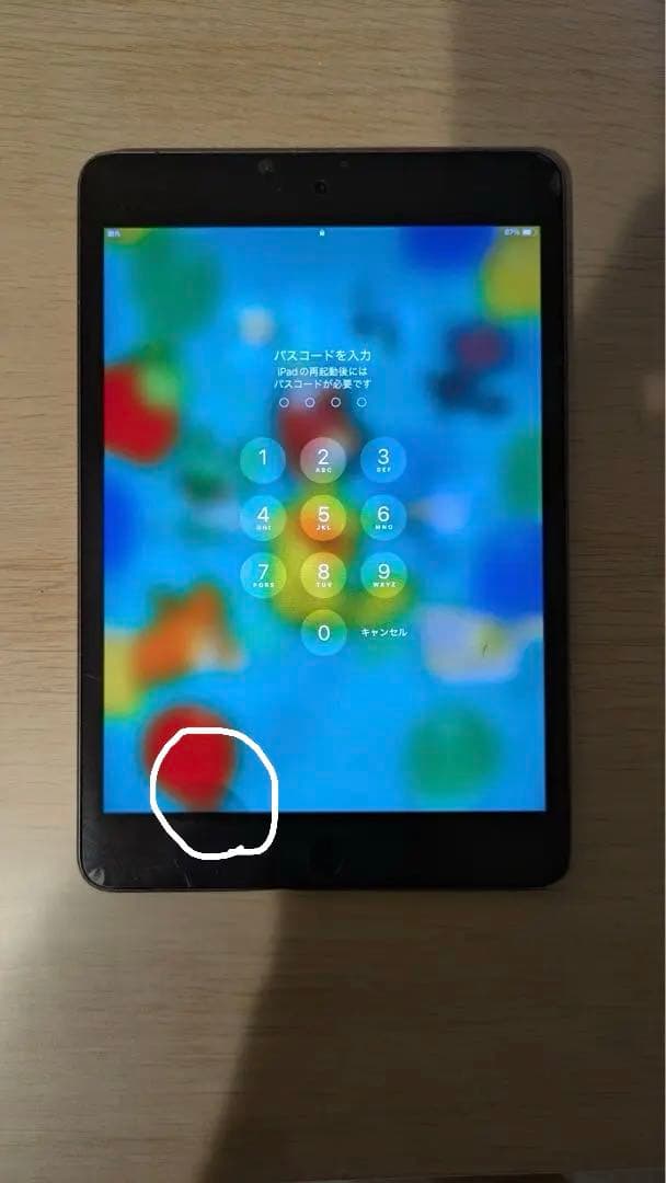 iPad mini 第5世代 256GB（Cellularモデル）SIMフリー