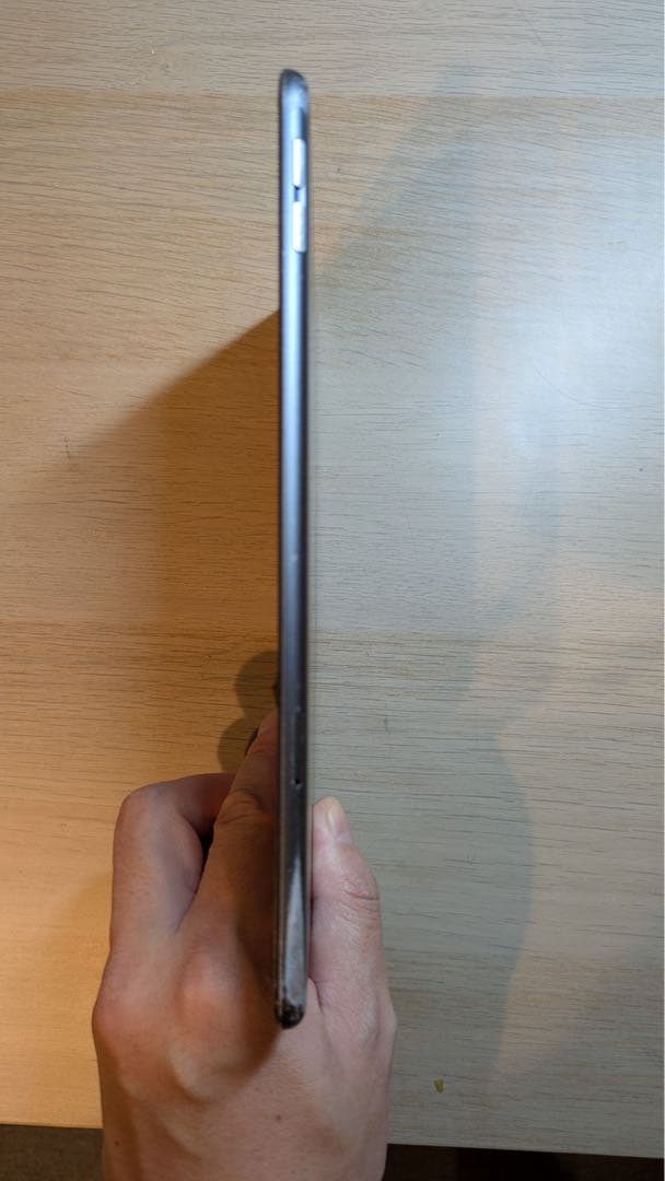 iPad mini 第5世代 256GB（Cellularモデル）SIMフリー