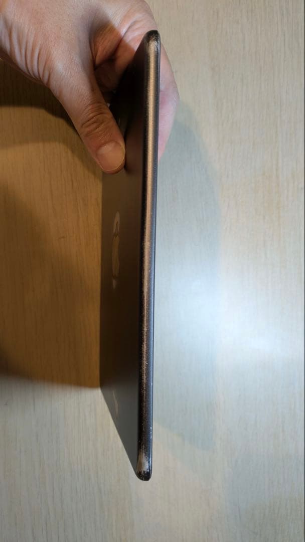 iPad mini 第5世代 256GB（Cellularモデル）SIMフリー