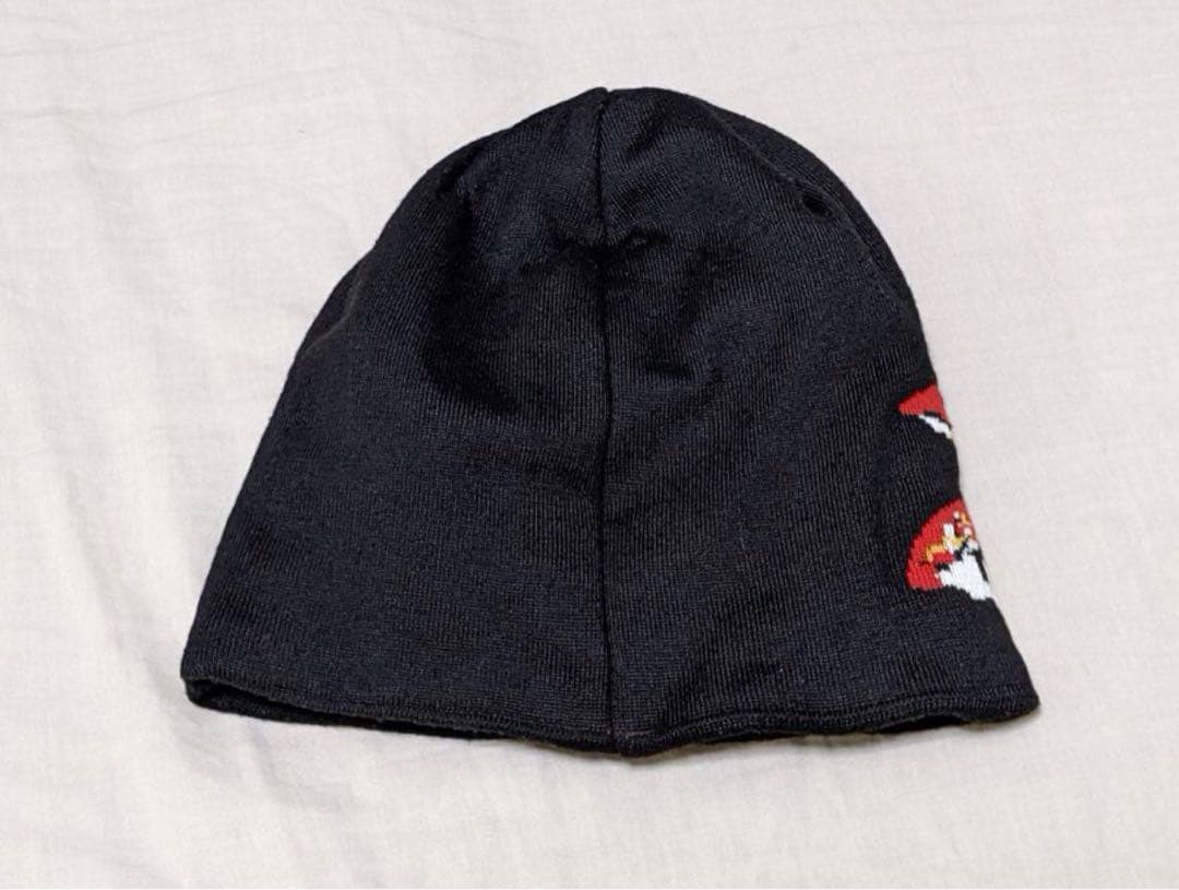 希少 極美品 patagonia パタゴニア きのこ ビーニー マッシュルーム