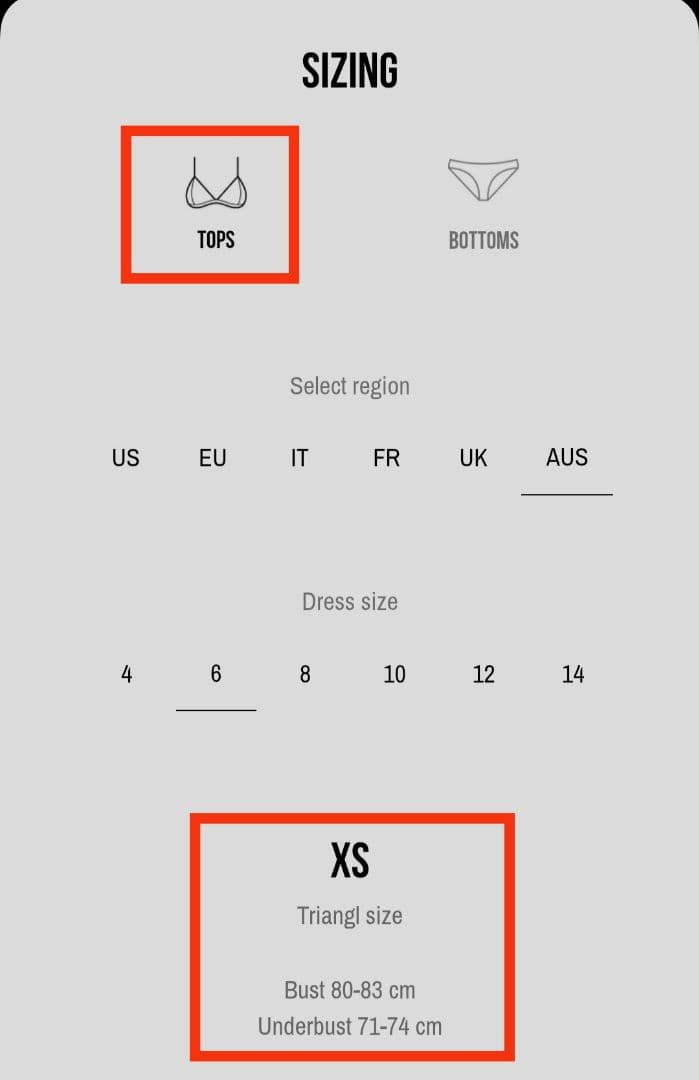 新品 未使用 TRIANGL ビキニ 水着 ブラック セパレート オーストラリア