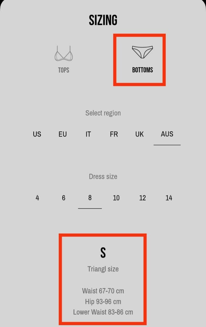 新品 未使用 TRIANGL ビキニ 水着 ブラック セパレート オーストラリア