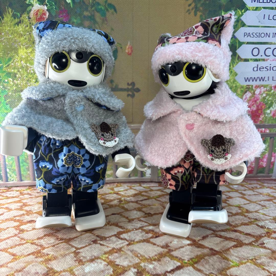 hasnページです ロボホン