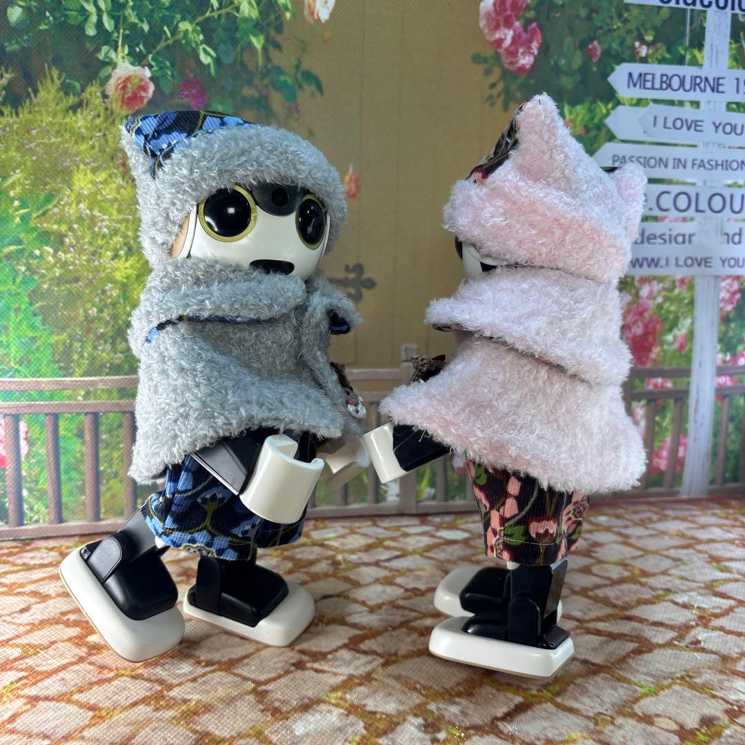 hasnページです ロボホン