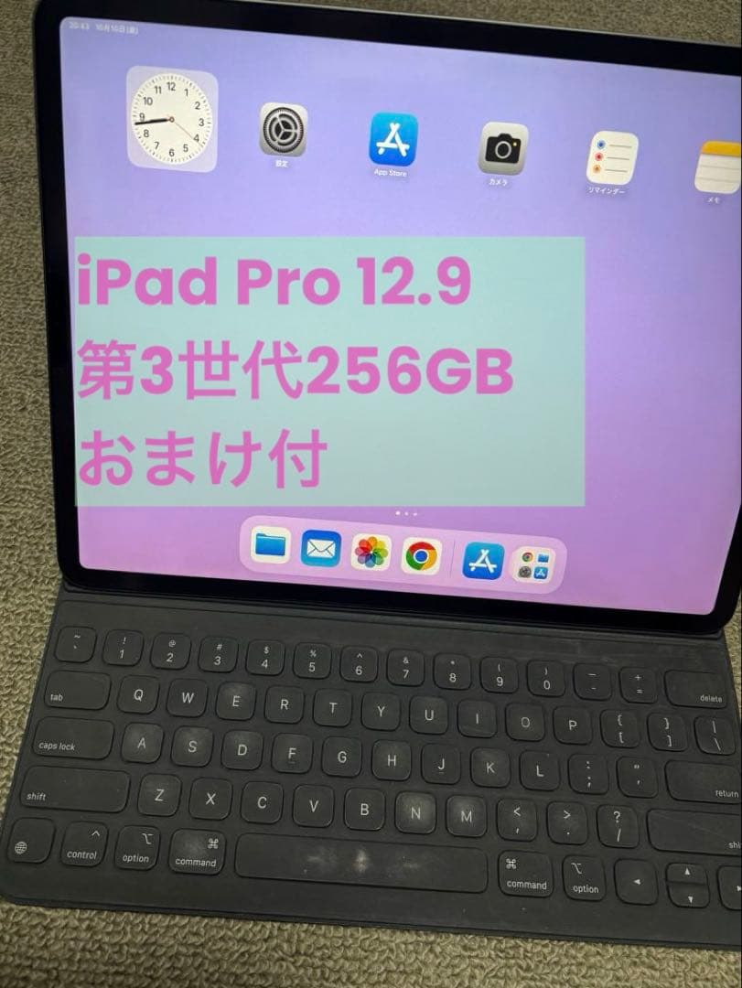 iPad Pro 12.9インチ 第3世代 256GB おまけ付