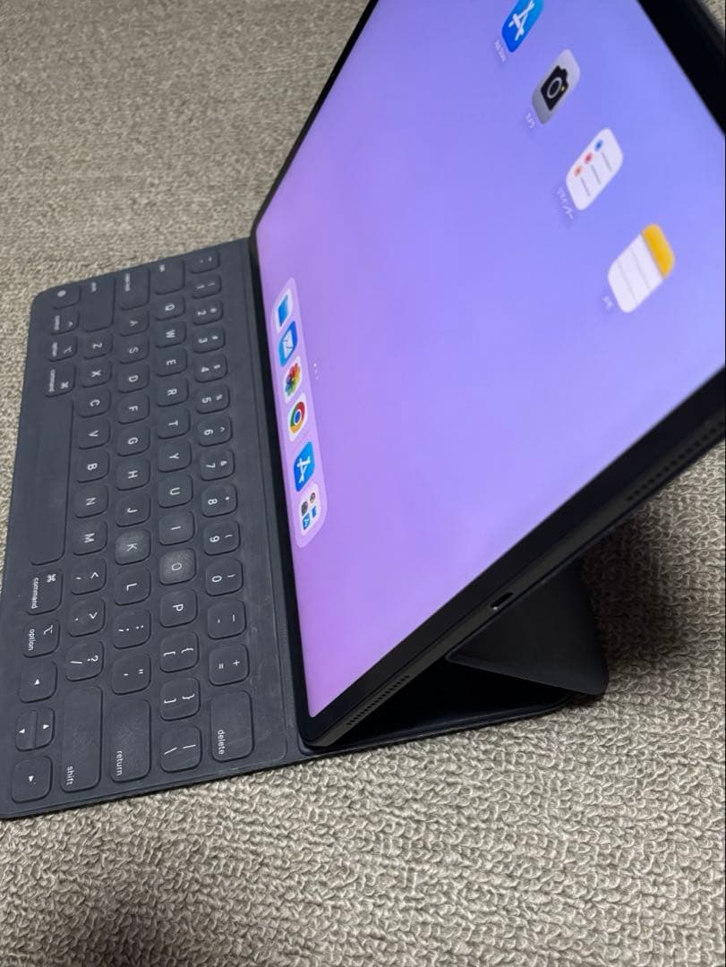 iPad Pro 12.9インチ 第3世代 256GB おまけ付