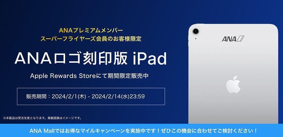第10 iPad Wi-Fi 256GB ブルー ANA刻印 SFC