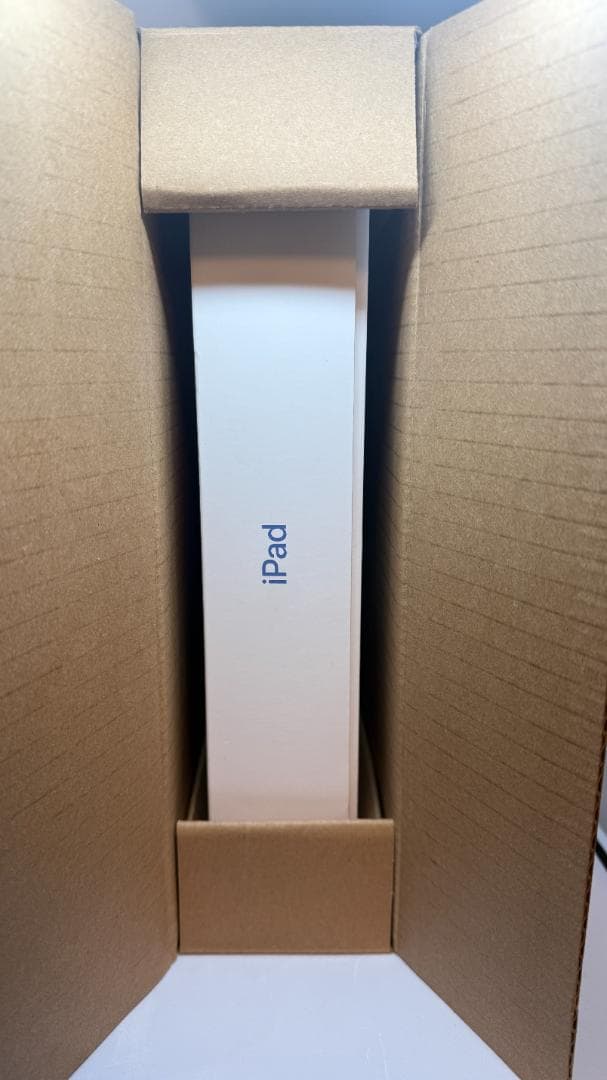 第10 iPad Wi-Fi 256GB ブルー ANA刻印 SFC