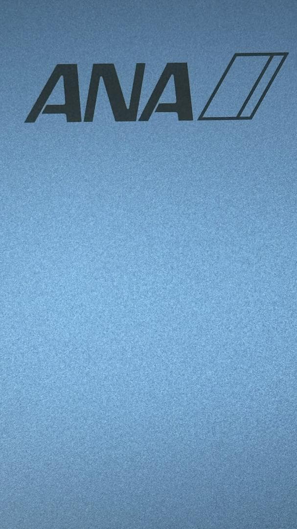 第10 iPad Wi-Fi 256GB ブルー ANA刻印 SFC