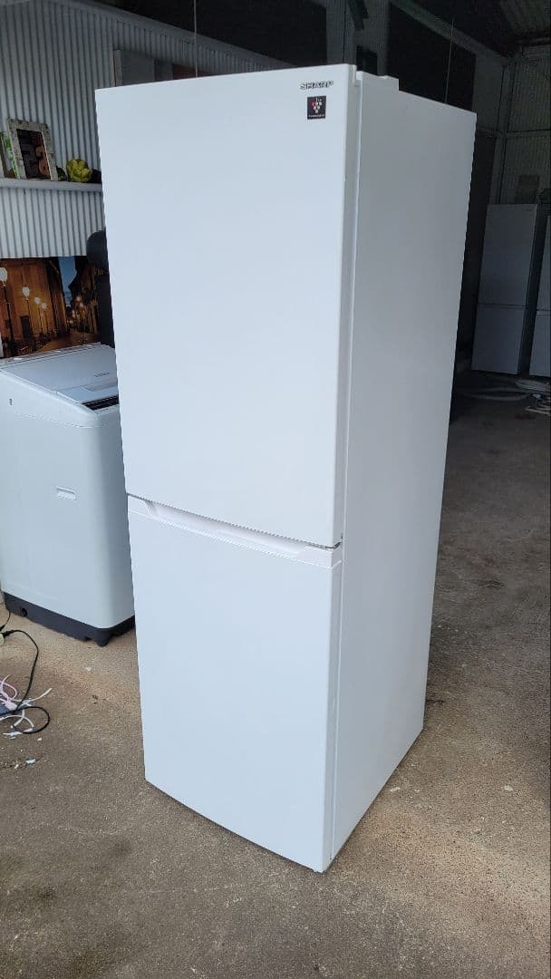 SHARP冷蔵庫✨2023年 230L