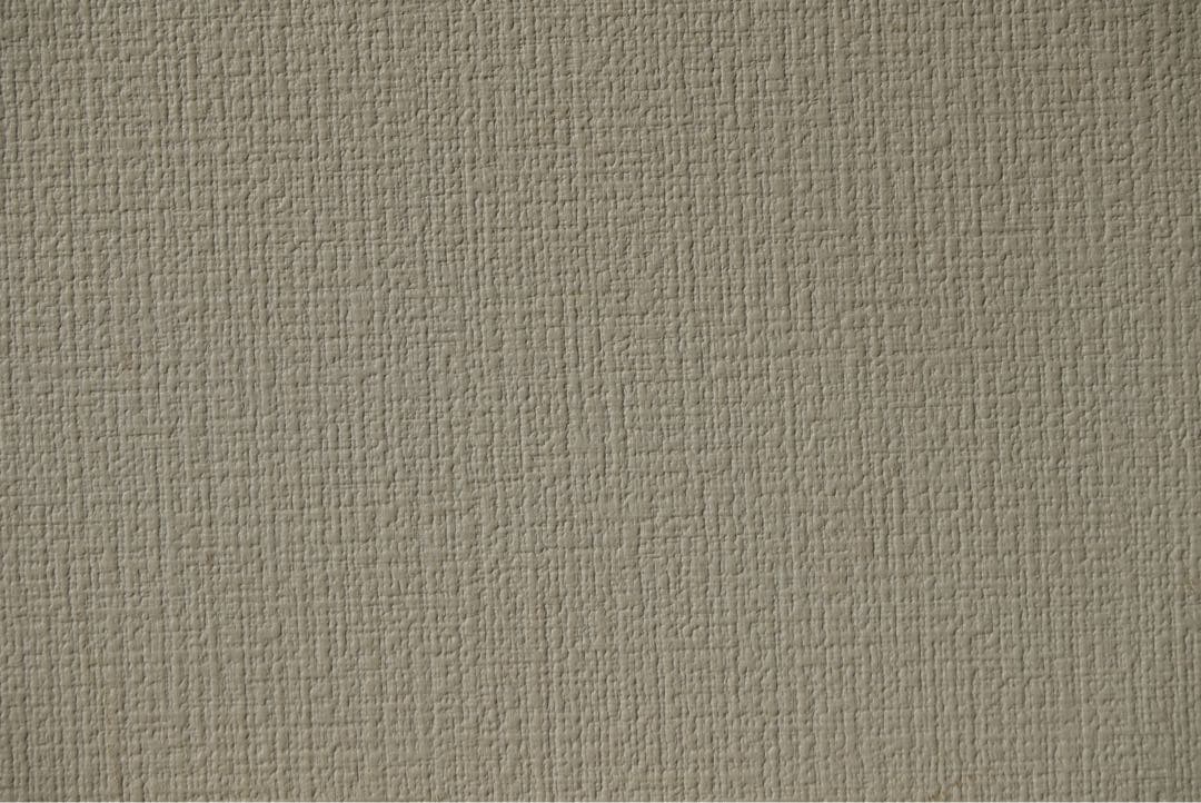 LUMIX G VARIO 45-200mm レンズ