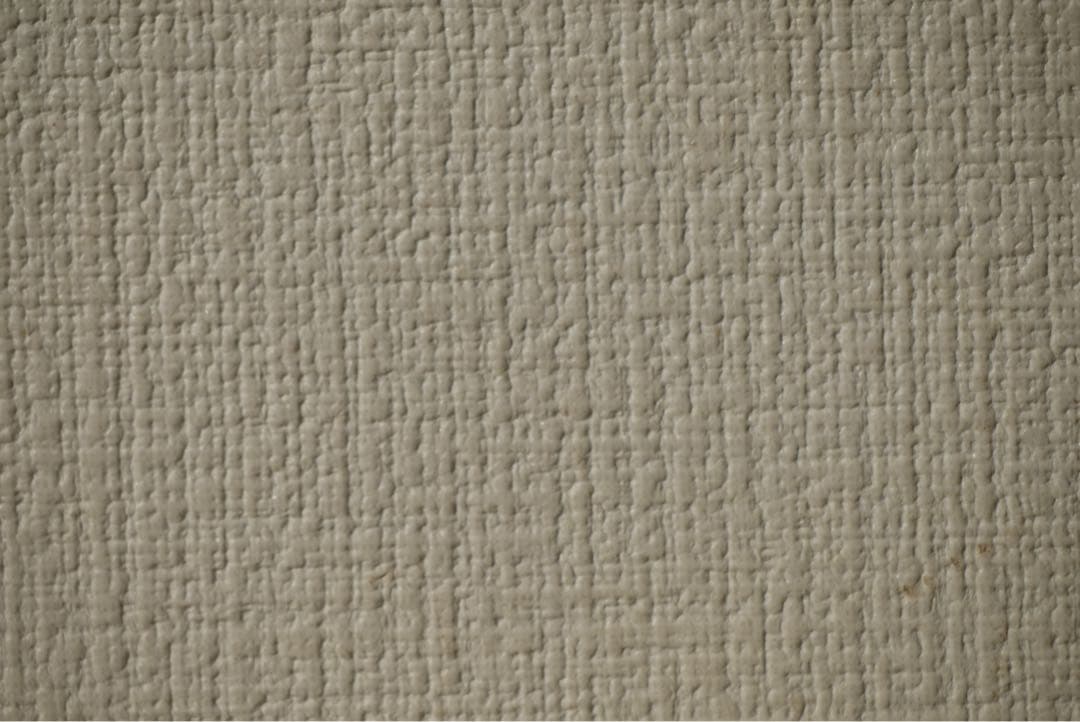 LUMIX G VARIO 45-200mm レンズ