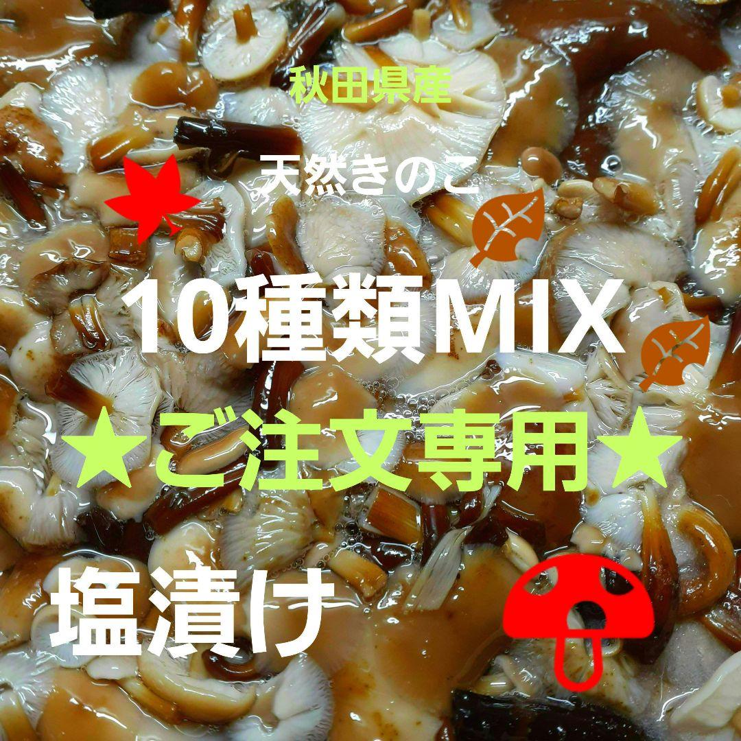 秋田県産 天然きのこ 10種類 MIX 塩漬け