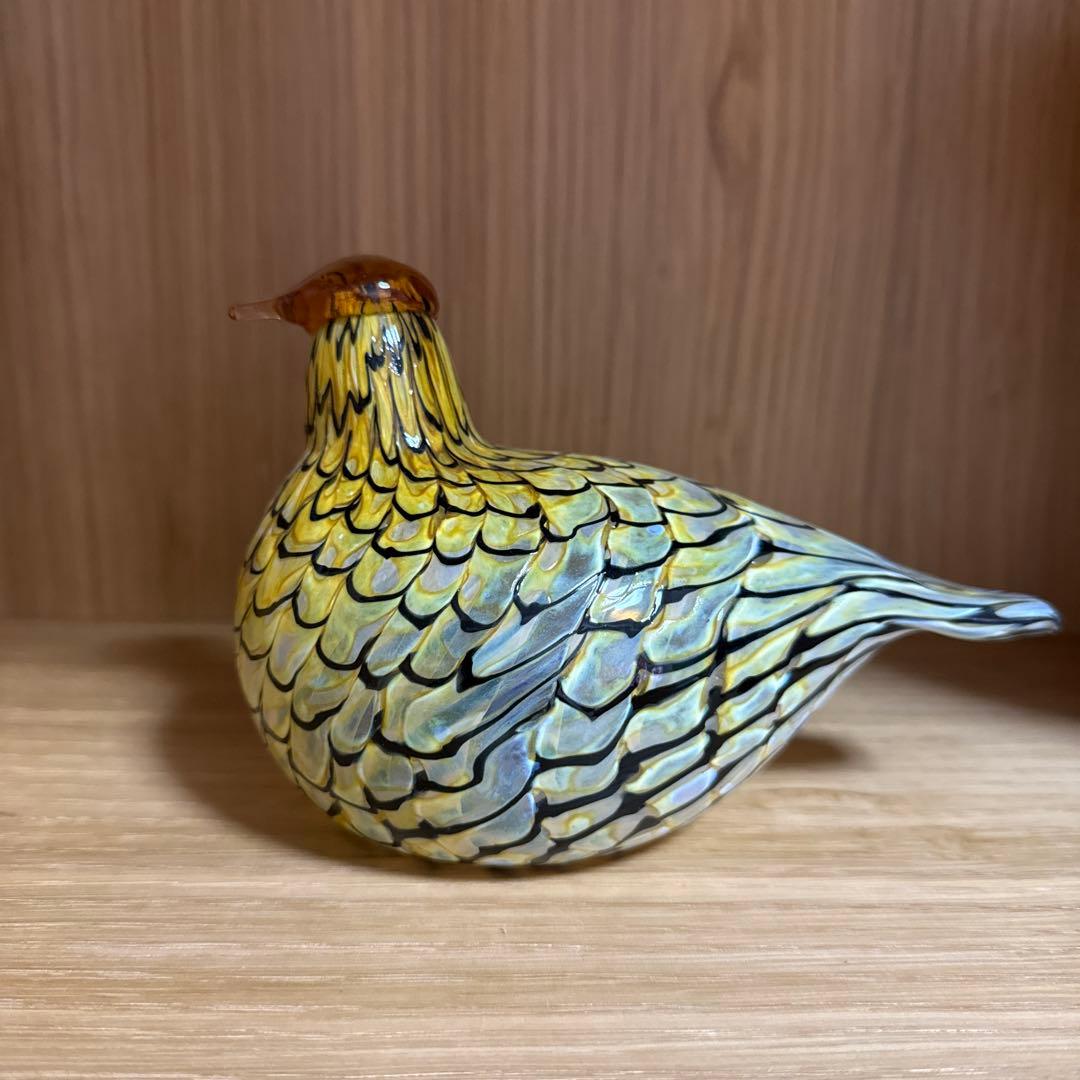 イッタラ　オイバトイッカバード　サマーグロース　2006年