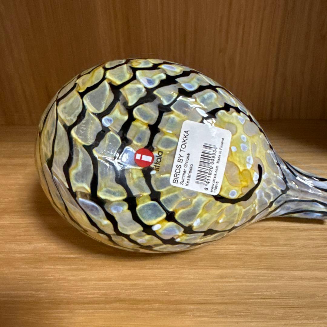 イッタラ　オイバトイッカバード　サマーグロース　2006年