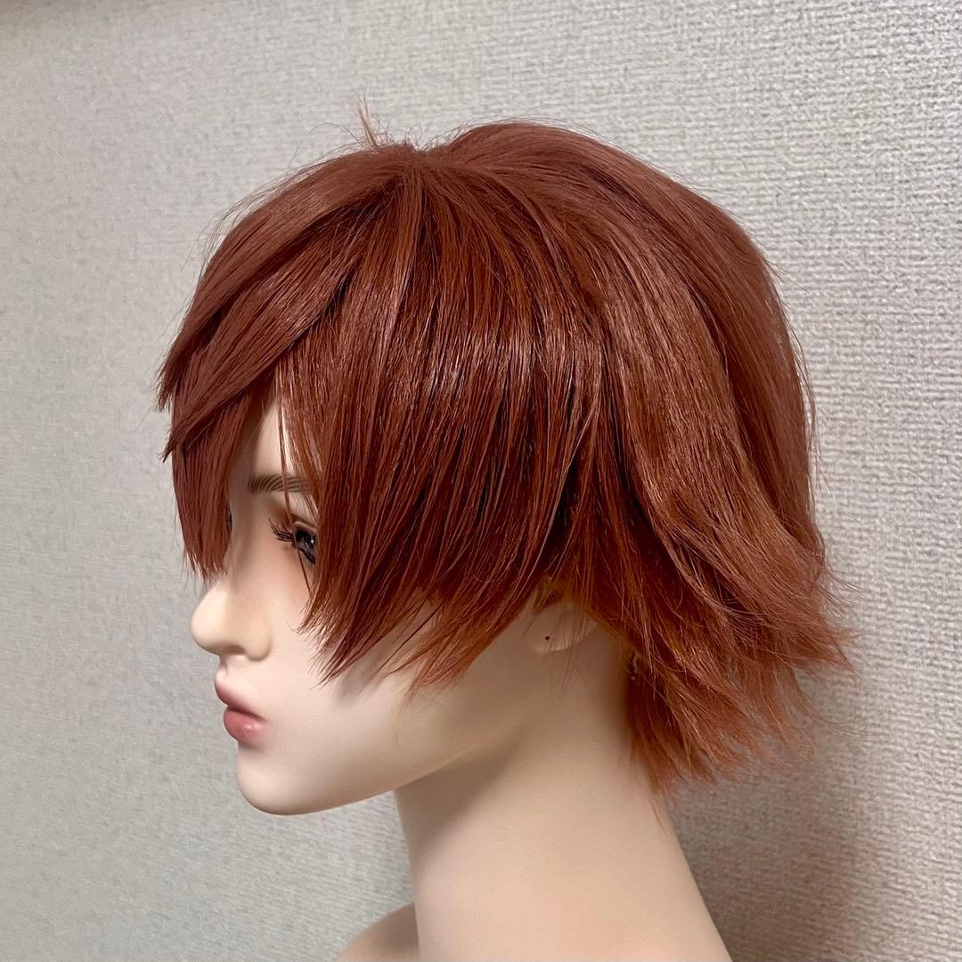 【即納】ツイステ エース・トラッポラ ウィッグ