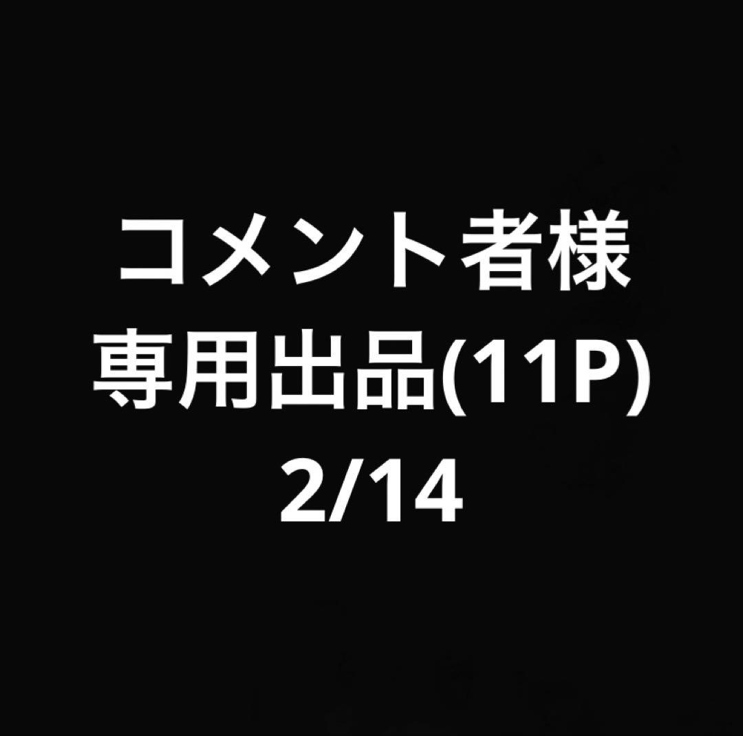 コメント者2/14 大11