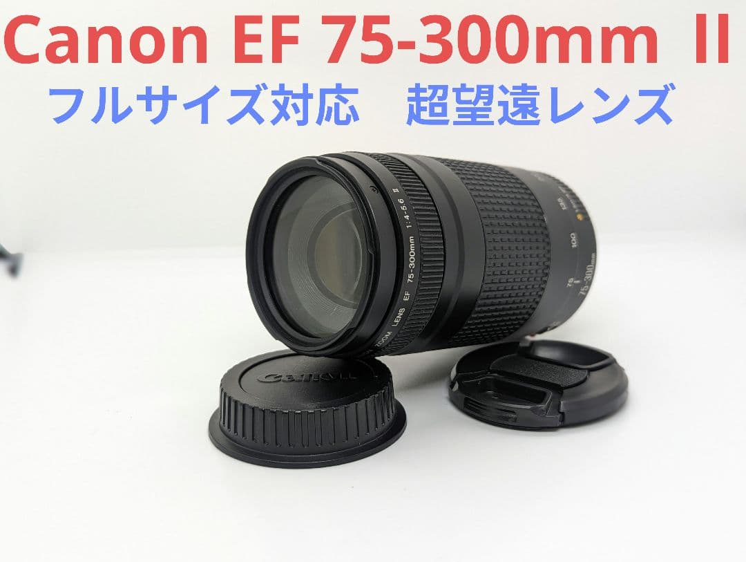 8月23日限定特価♪【超望遠レンズ】Canon EF 75-300mm Ⅱ