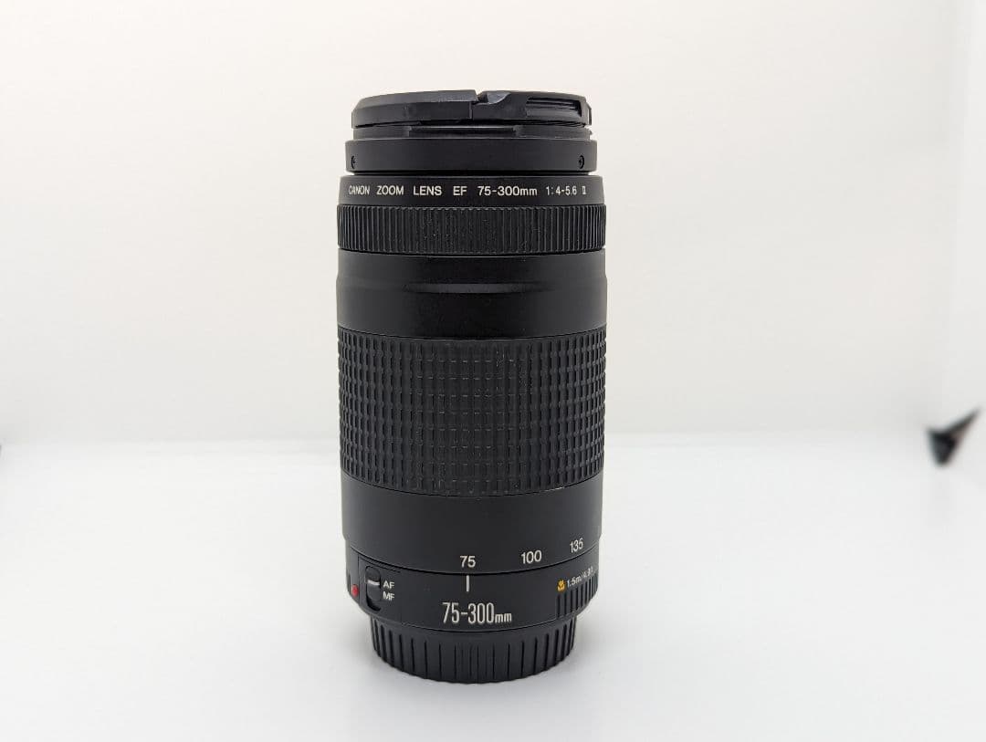 8月23日限定特価♪【超望遠レンズ】Canon EF 75-300mm Ⅱ