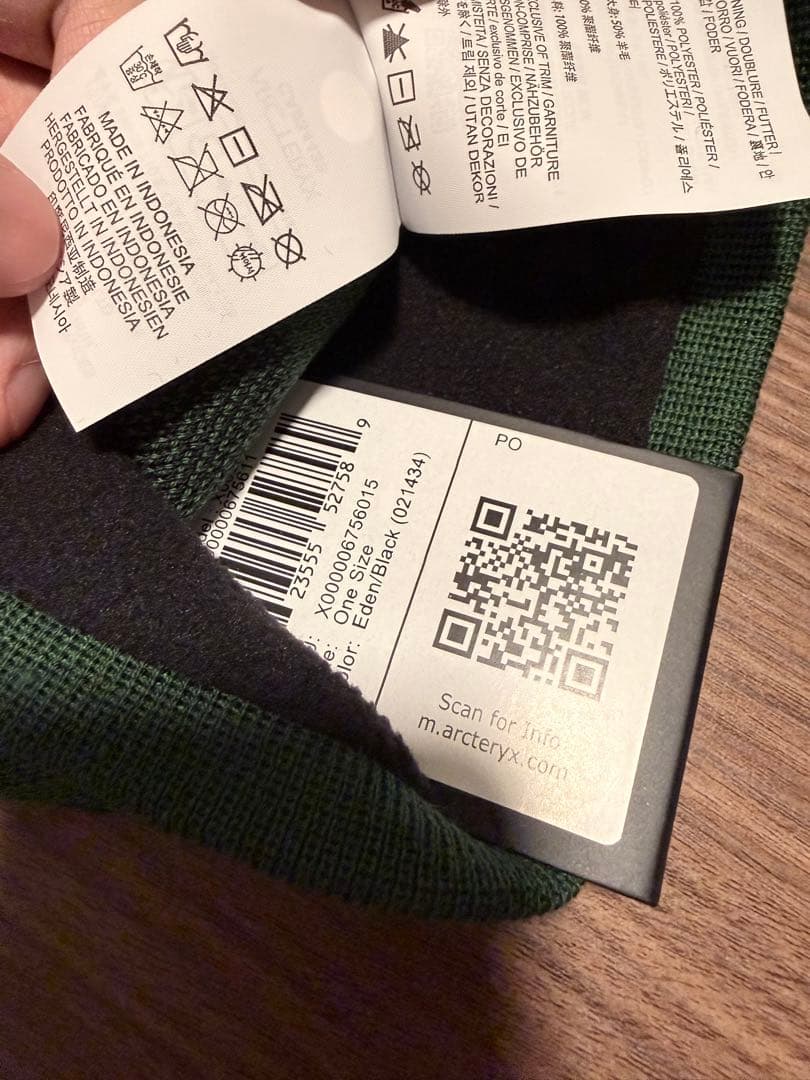 ARC'TERYX bird head toque 帽 グリーン