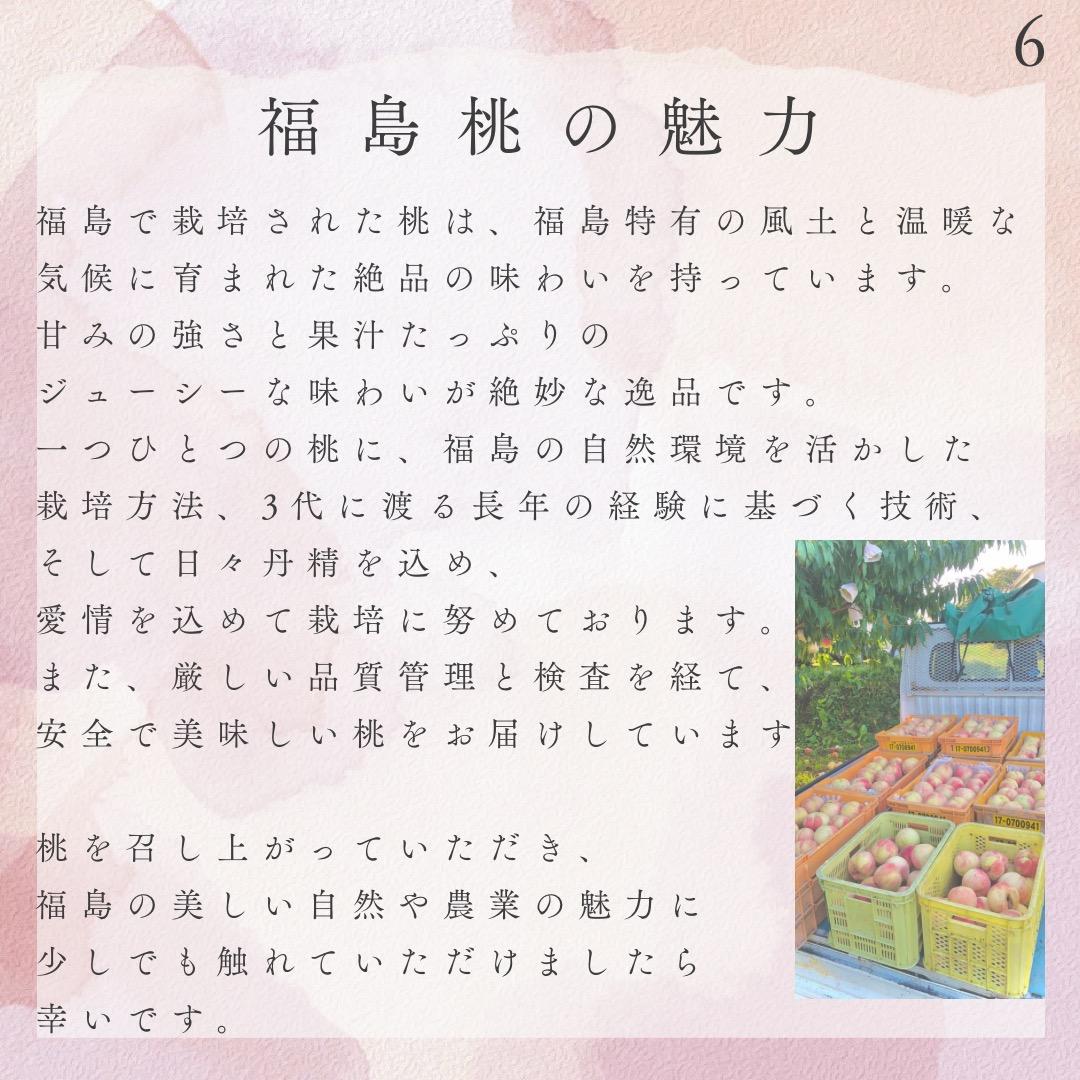 自宅用【幸茜10kg 約24-36個】