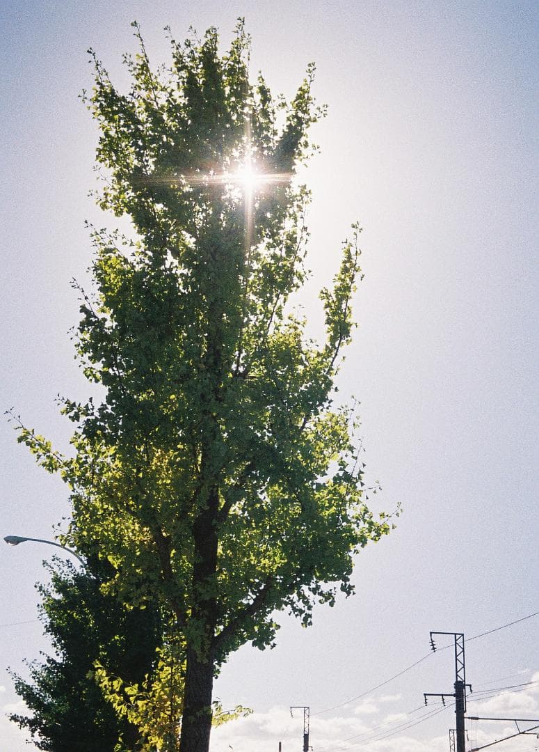 【フィルム試写あり・整備品】オリンパス　PEN-EES ３点ゾーンフォーカス