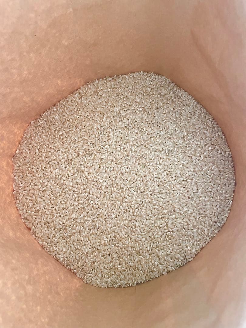 静岡県産　きぬむすめ　玄米　10kg