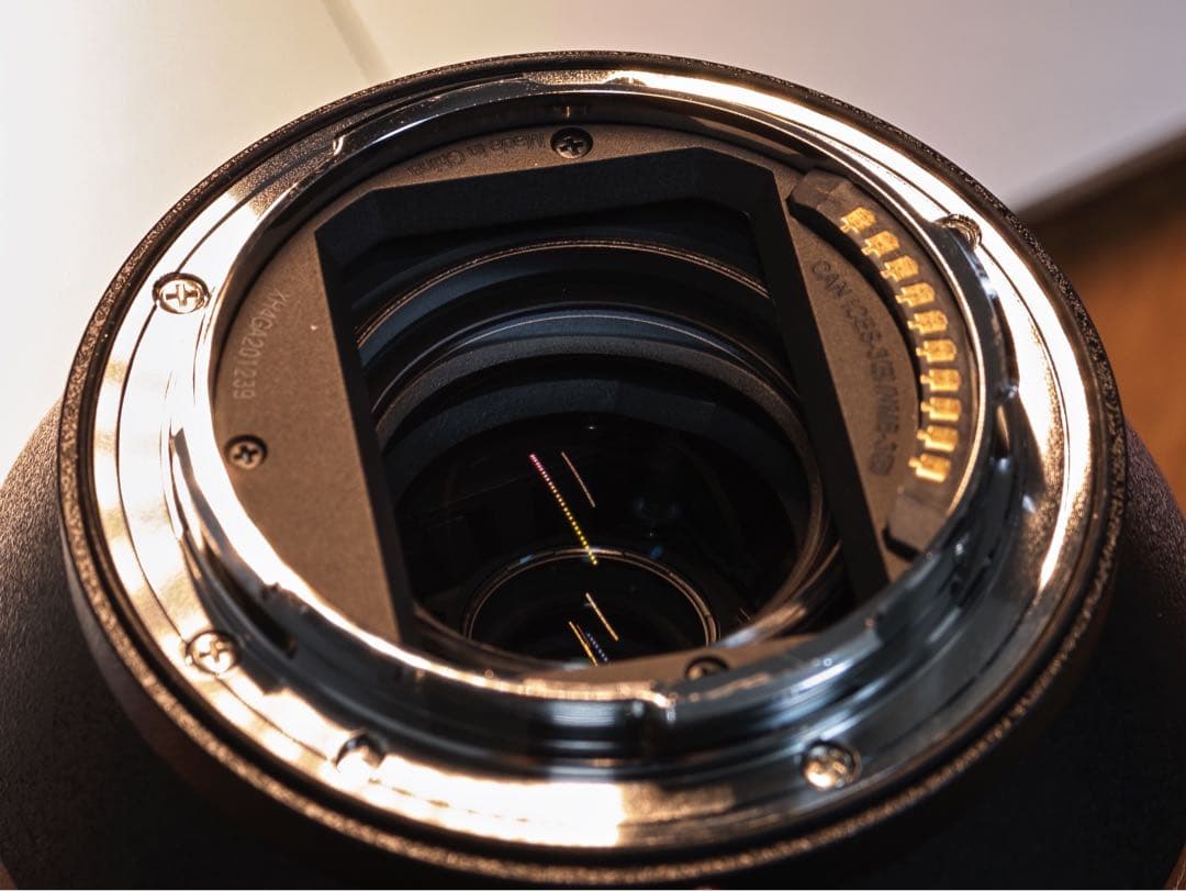 PANASONIC LUMIX S 70-300mm f4.5-5.6Lマウント