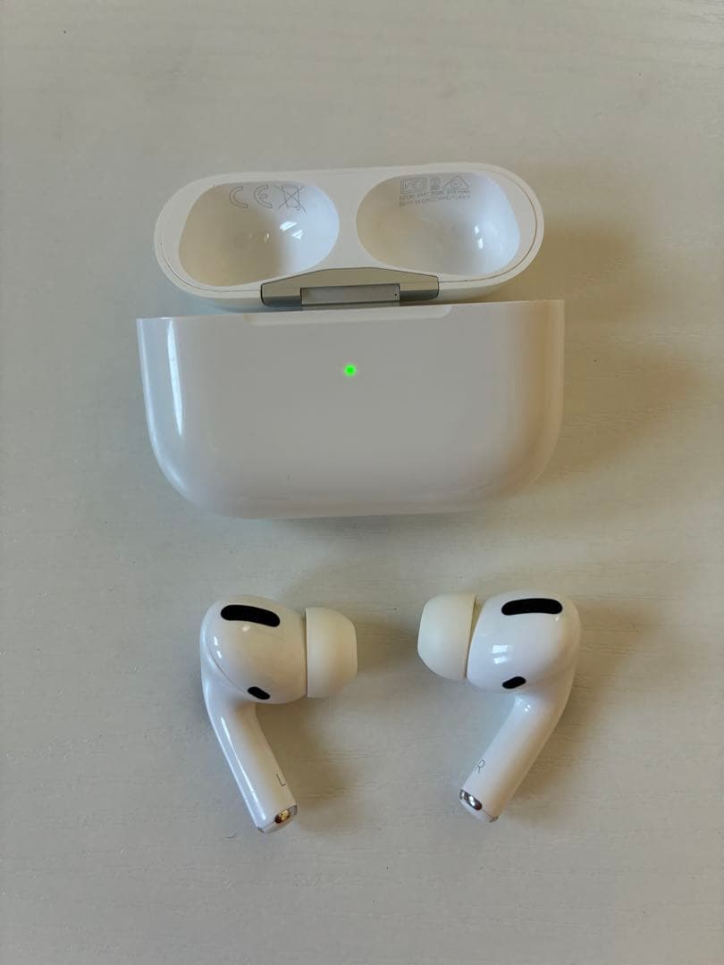 AirPods Pro ＋ エスターバニーケース セット