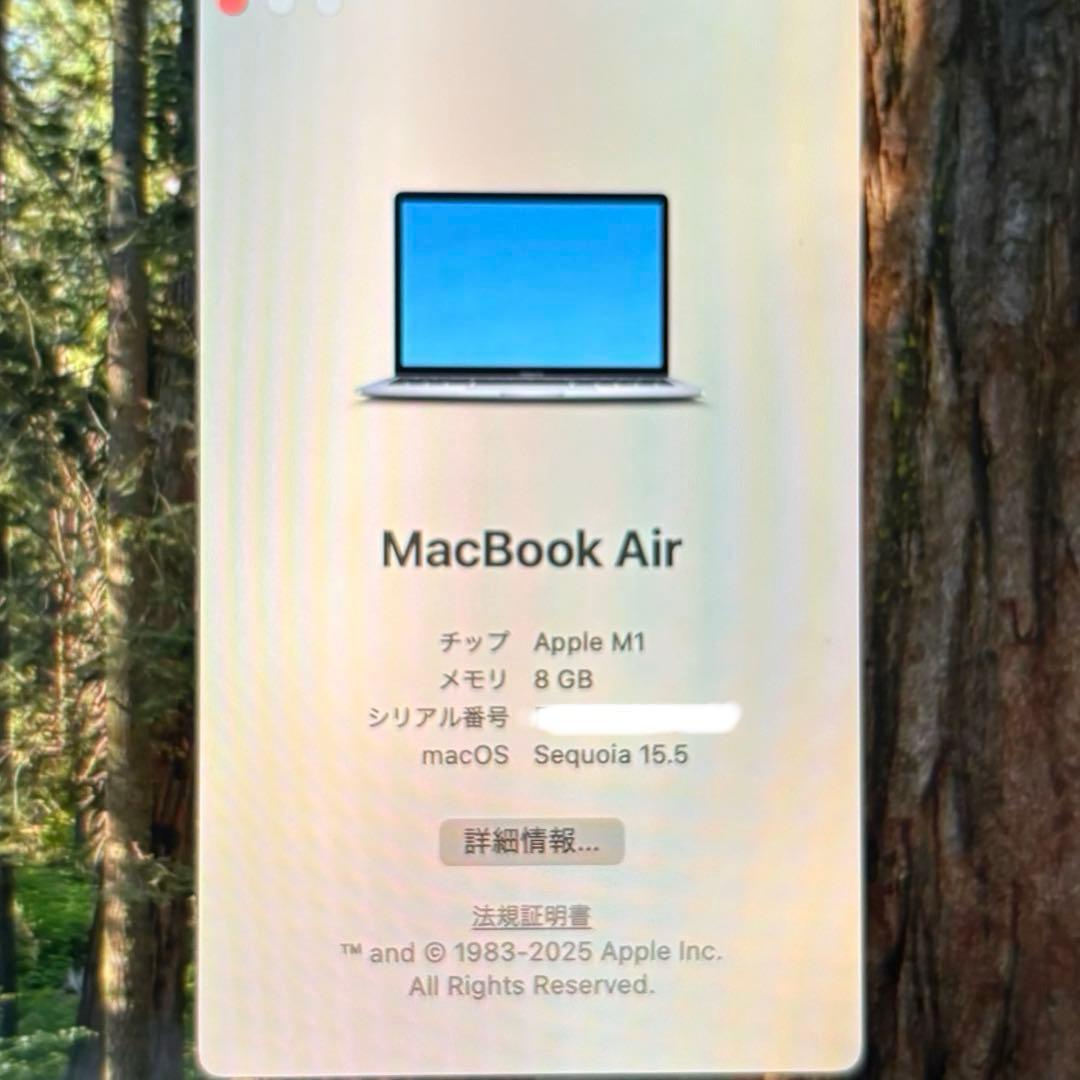 Apple 2020 MacBook Air 13インチ8GB 512GB M1