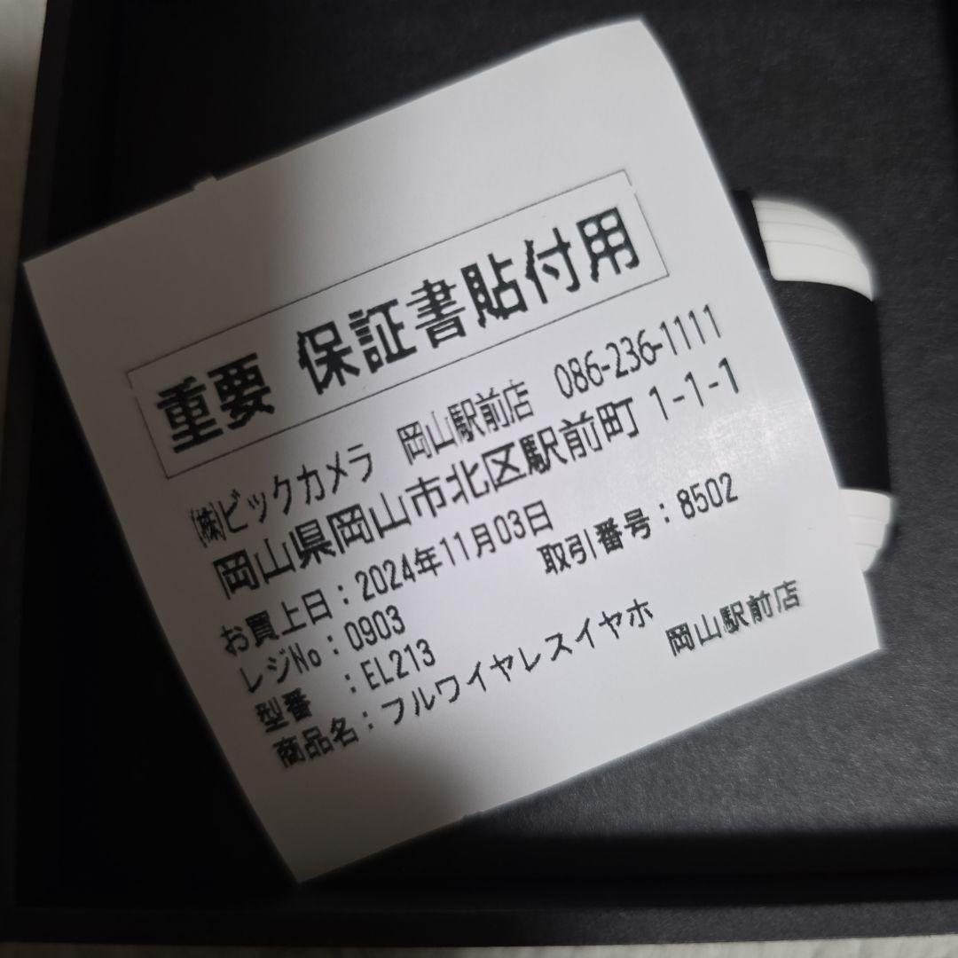 Devialet Gemini II イヤフォン ホワイト