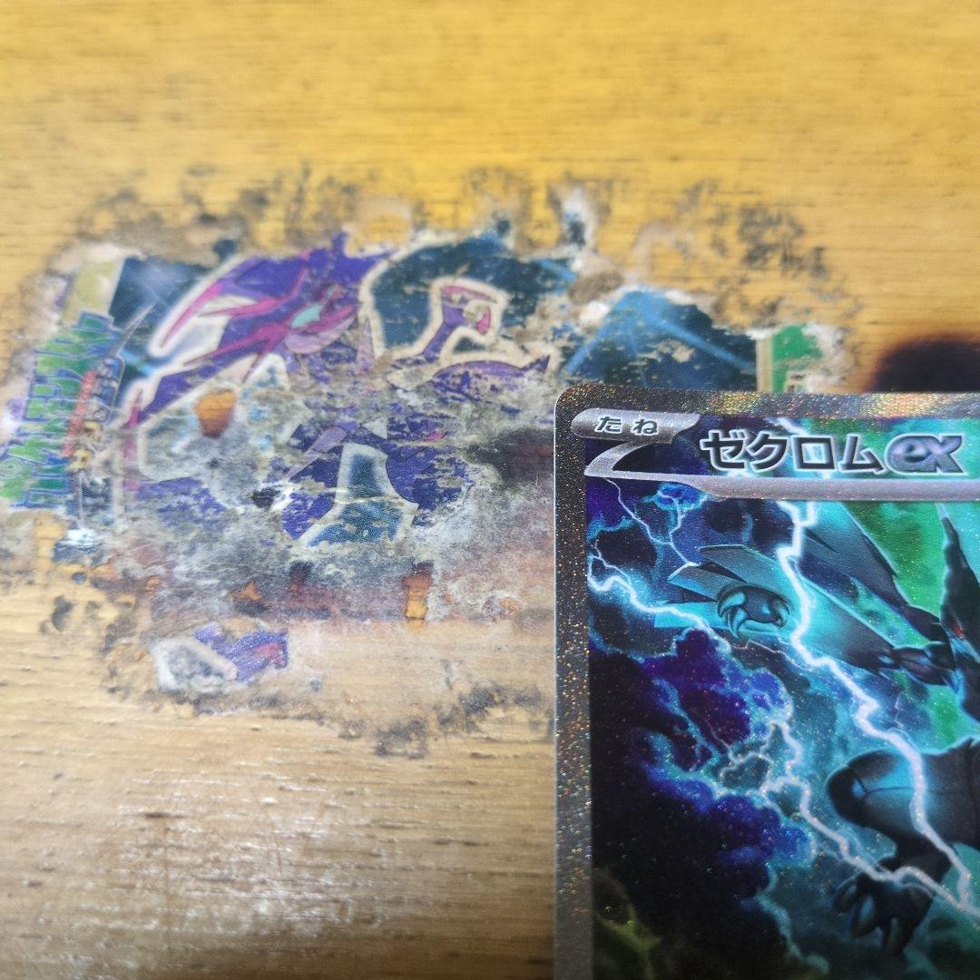 ポケモンカードゼクロムSAR