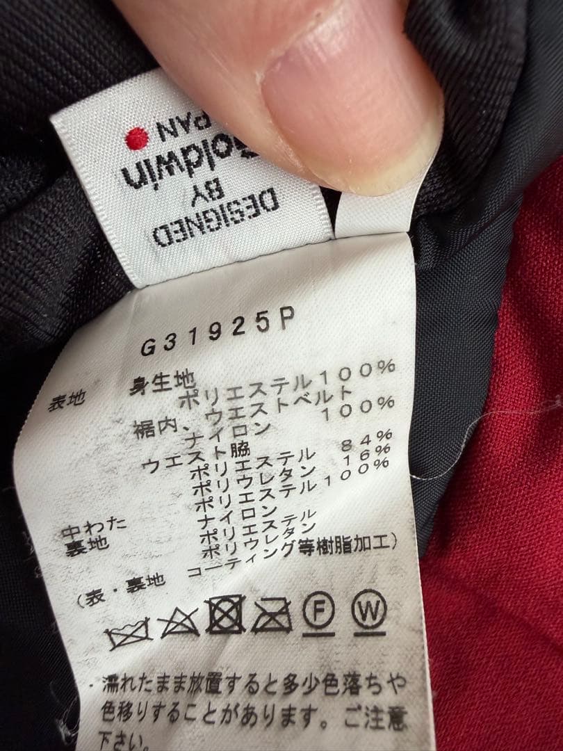 ゴールドウィン スキーパンツ メンズ Stream Pants G31925P