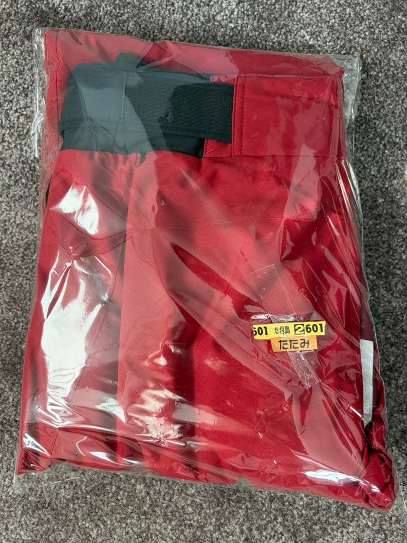 ゴールドウィン スキーパンツ メンズ Stream Pants G31925P