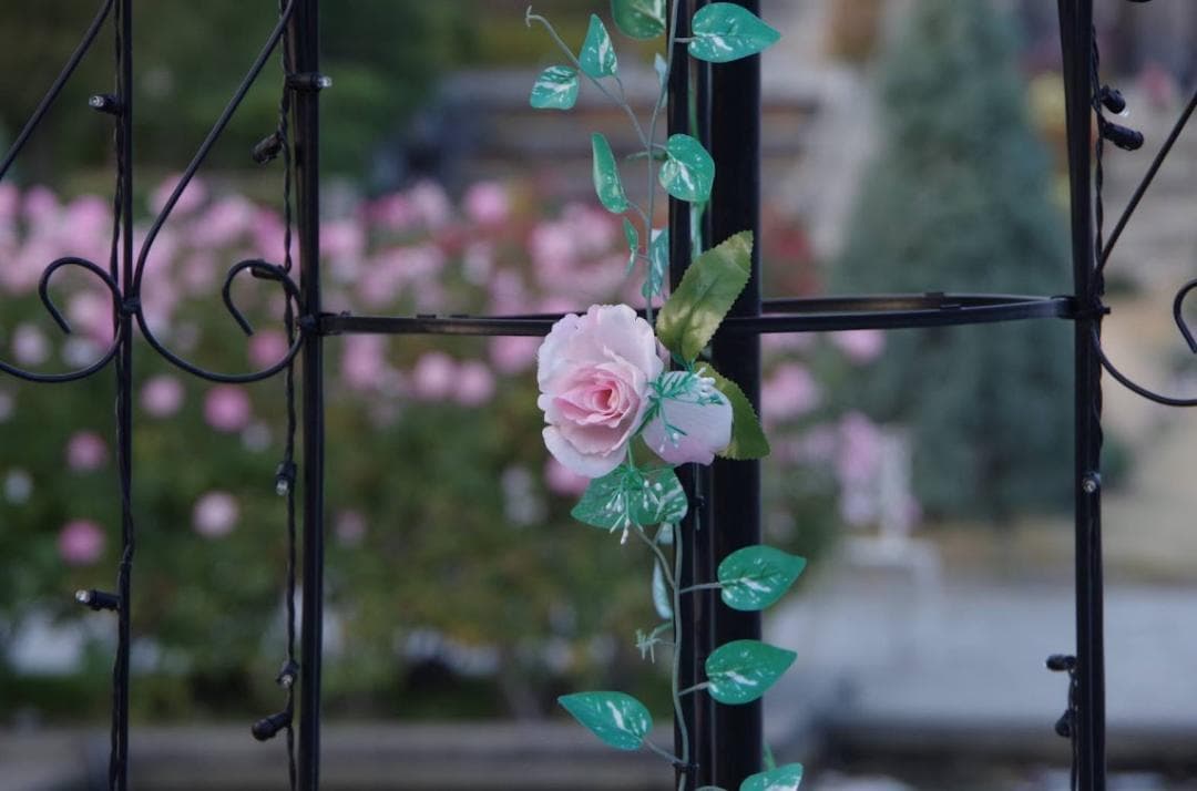 【ファンタさん専用】PENTAX-DA 18-135mm F3.5-5.6 ED