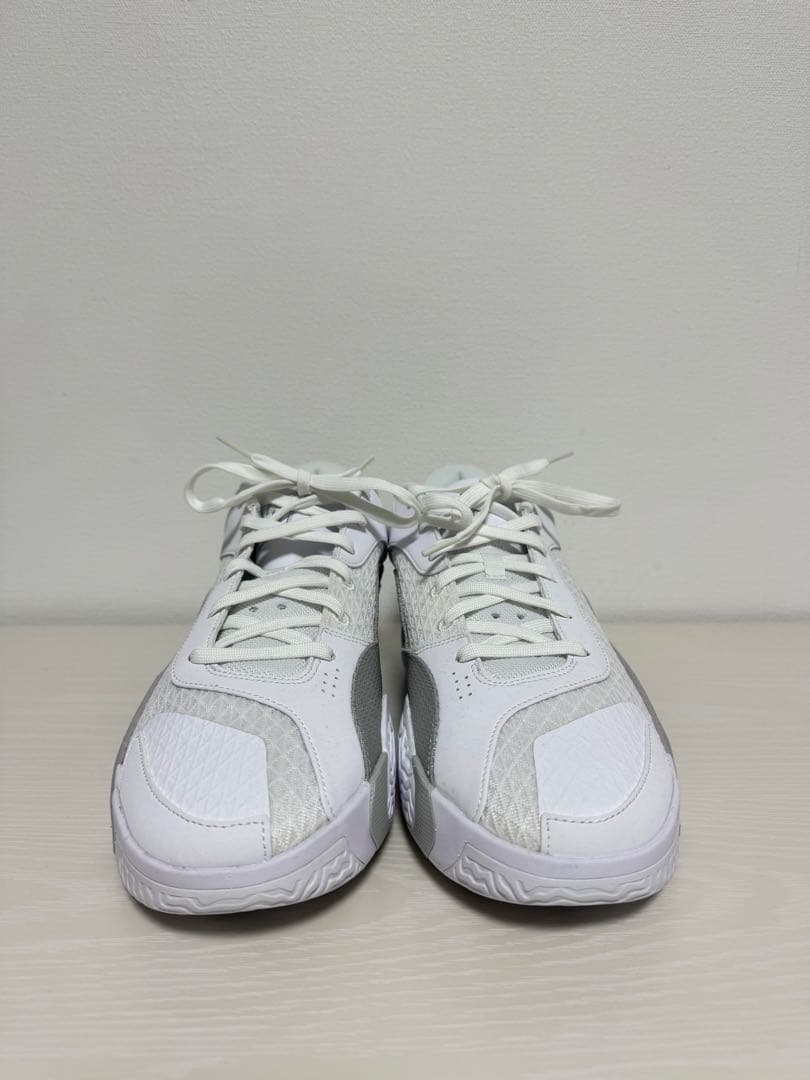 Nike テイタム2 PF ホワイト/グレー 29cm