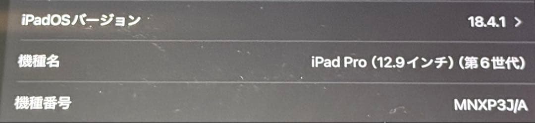 iPad本体 iPad Pro 12.9 128GB WiFi + Apple pencil2