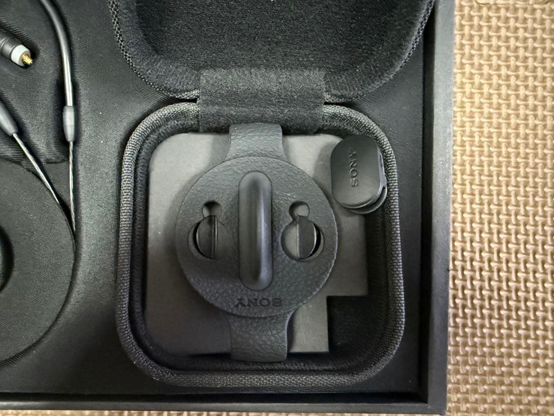 イヤホン SONY IER-M7