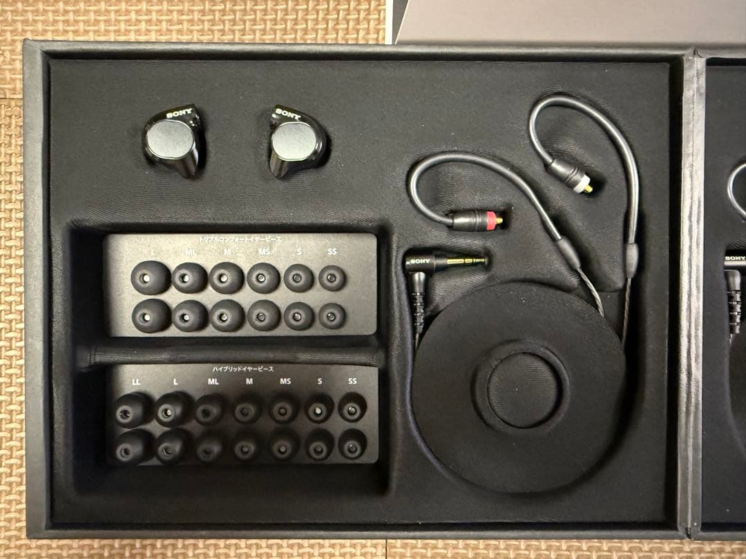 イヤホン SONY IER-M7