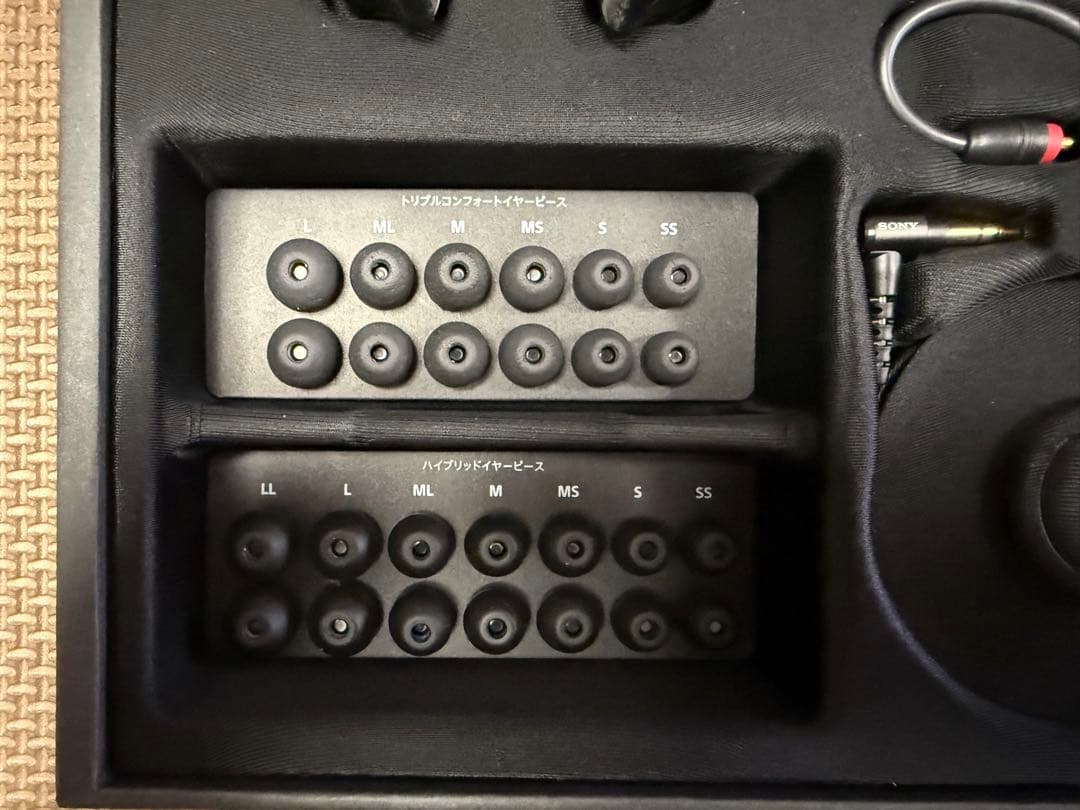 イヤホン SONY IER-M7