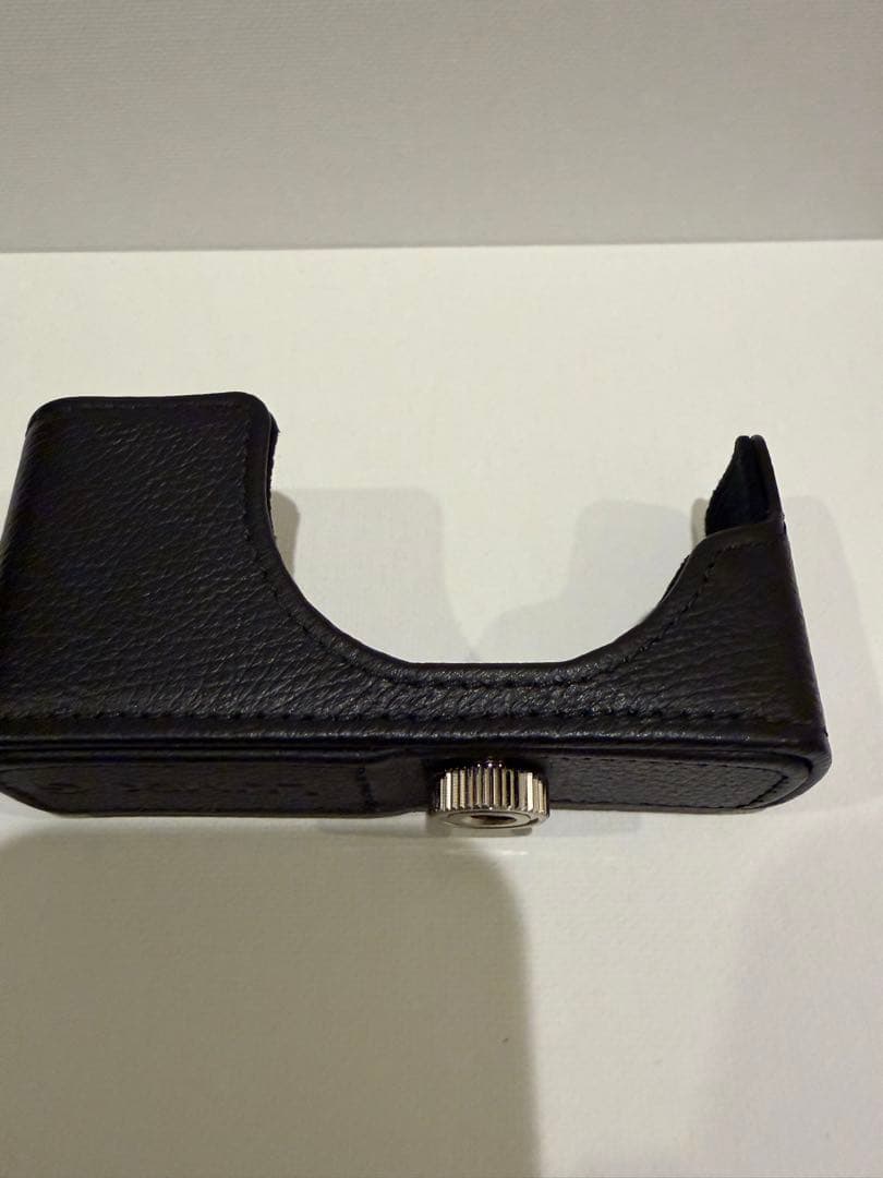 12/25迄値引　Panasonic LUMIX DCM-GM5K レンズキット