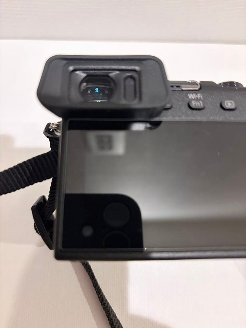 12/25迄値引　Panasonic LUMIX DCM-GM5K レンズキット