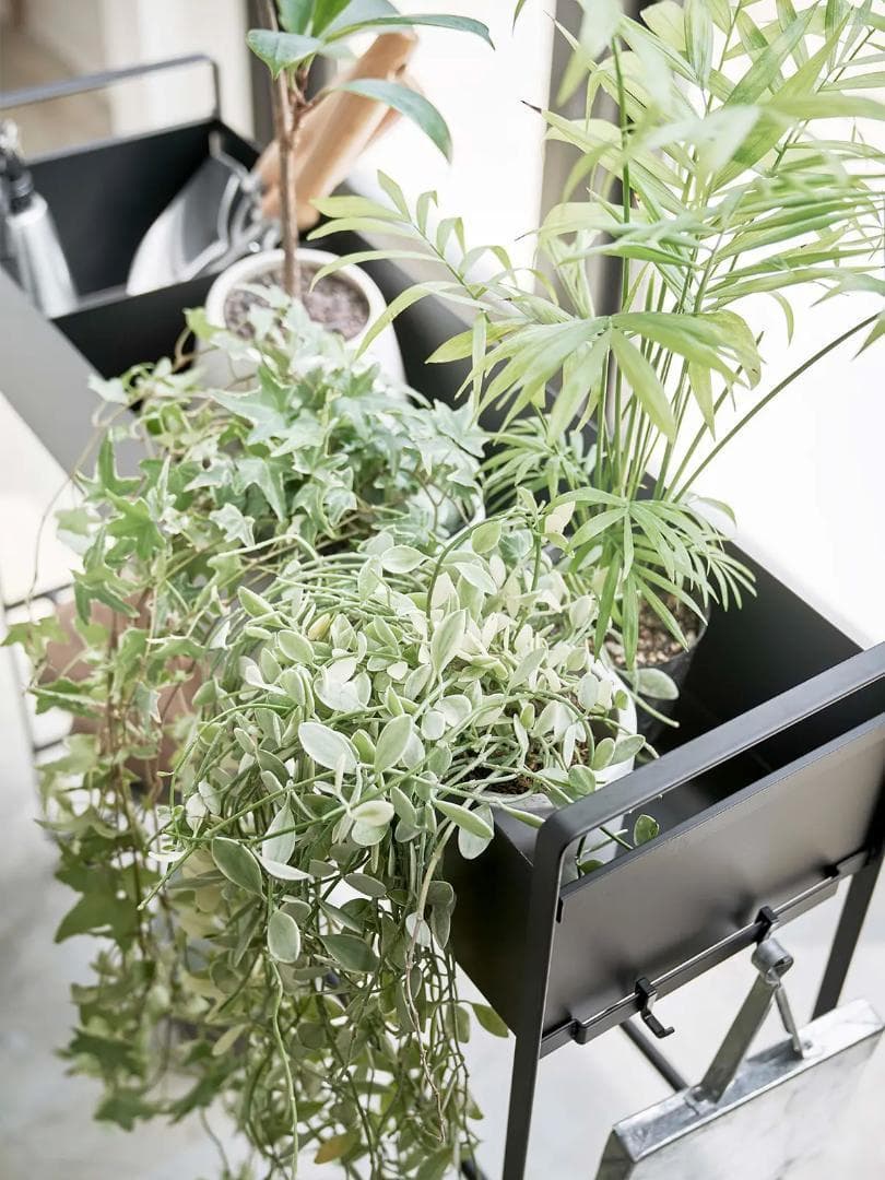 山崎実業 tower キャスター付き 玄関収納ラック タワー ホワイト おしゃれ