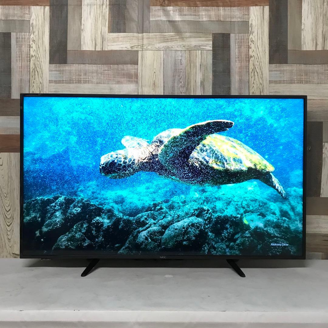 即日受渡❣️全国送料込スリムデザインNEC4K液晶HDR50インチモニター