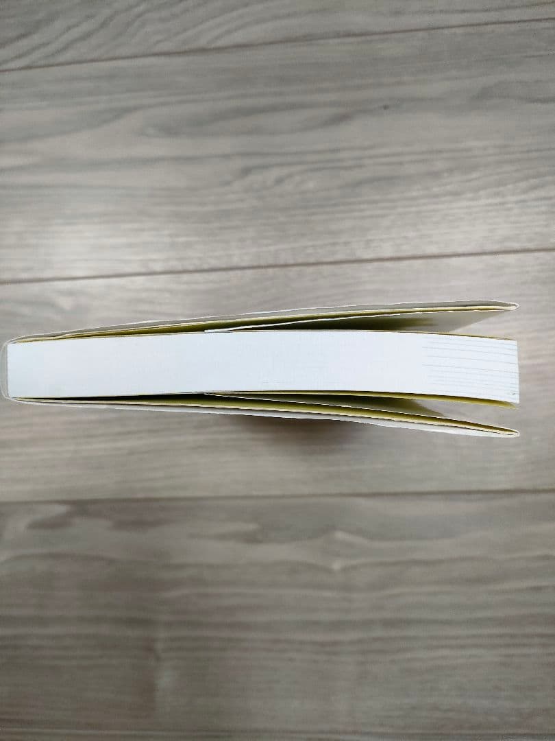 秘瀑 : 台高山脈珠玉の渓